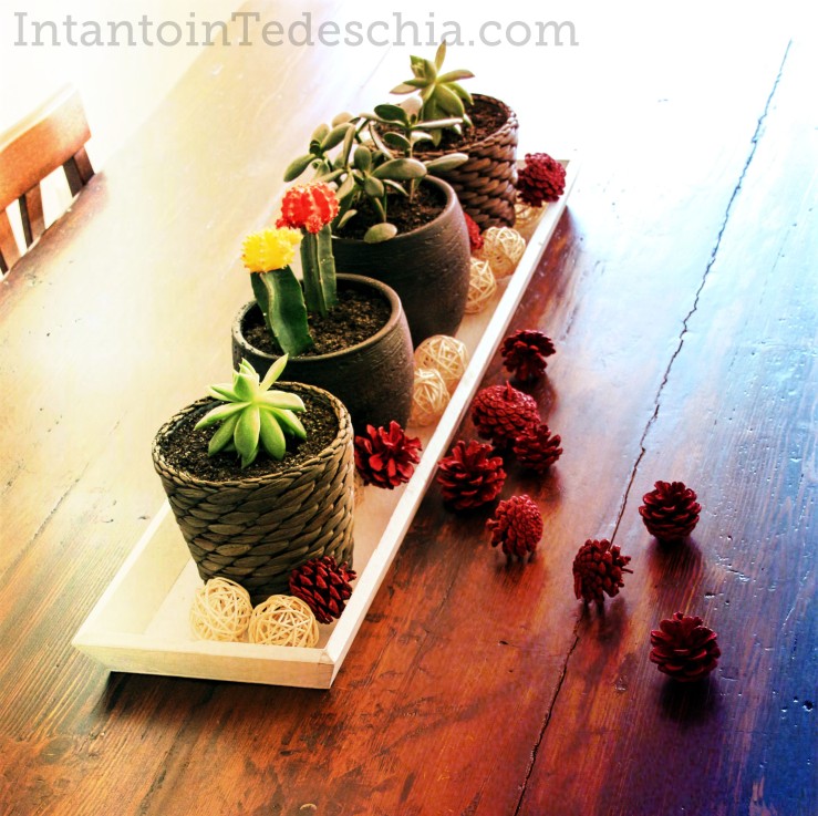 piante tavolo legno grezzo